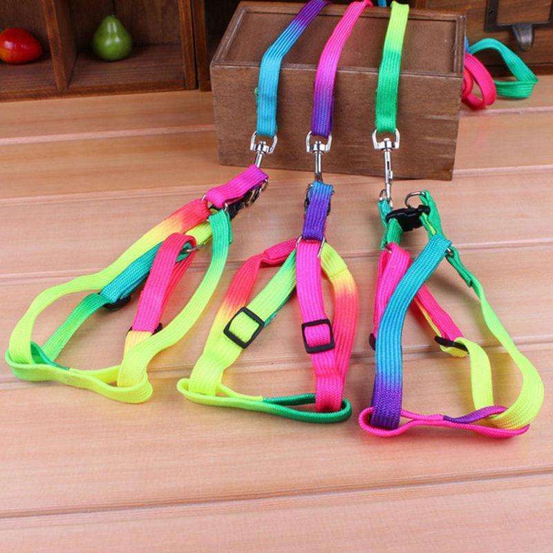 1 PCS Adjustable Rainbow Dog Leash