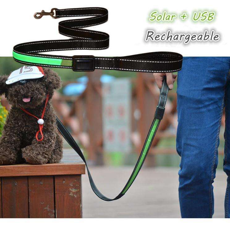 Solar Power Light Up Leash