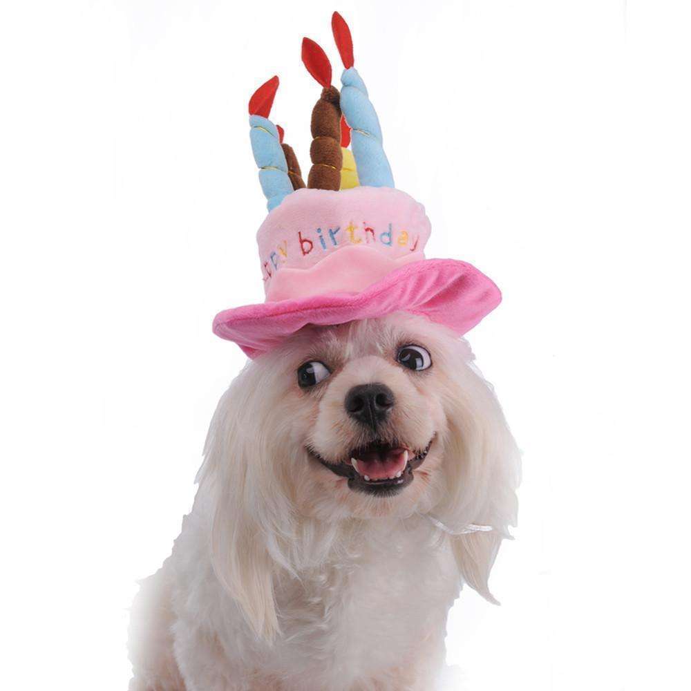 Doggy Birthday Hat