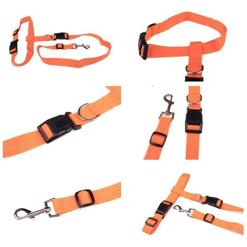 Running Waist Leash