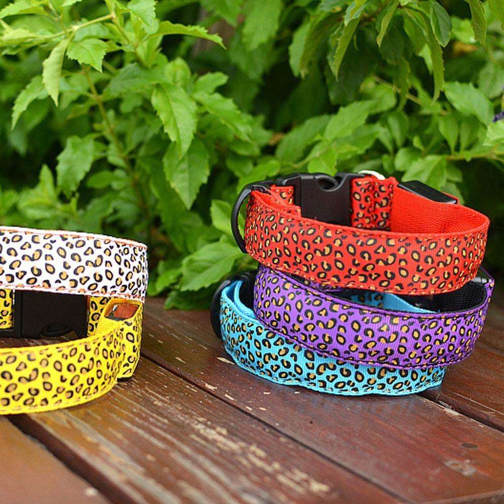LED Dog Collar Giveaway