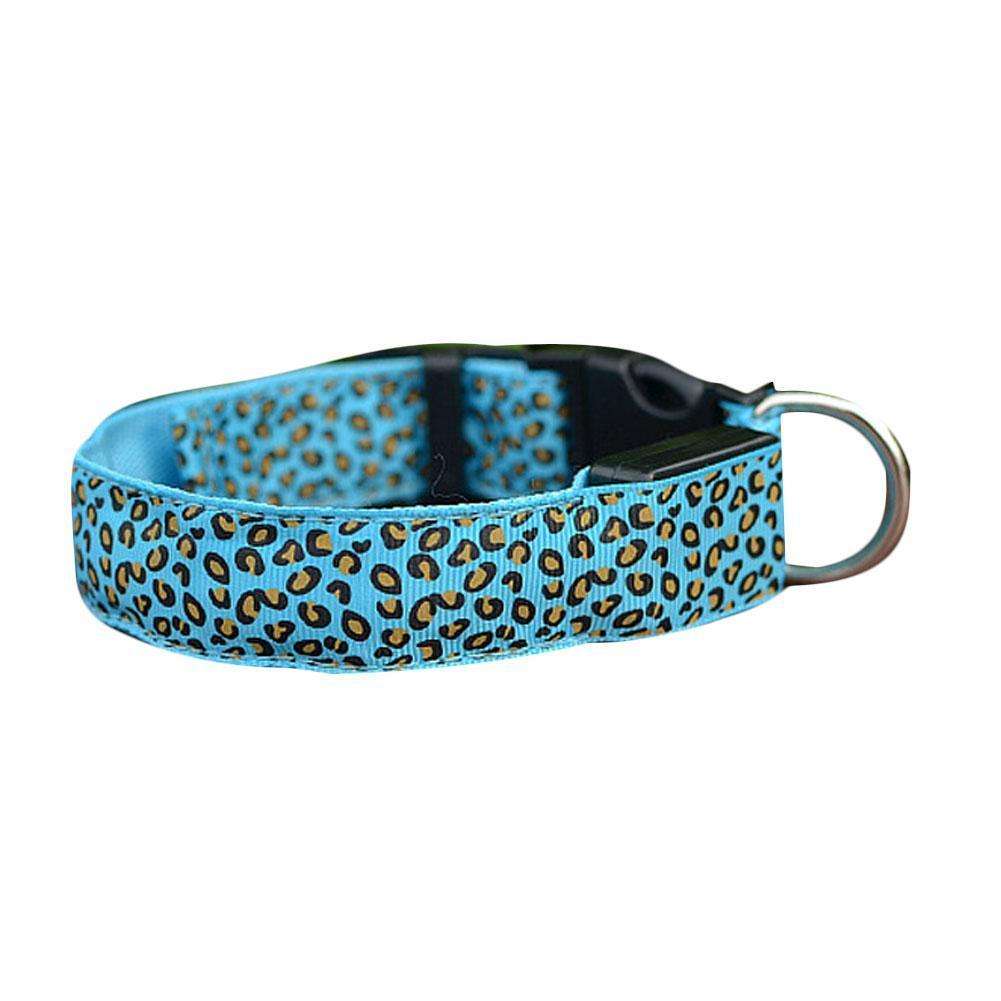 LED Dog Collar Giveaway