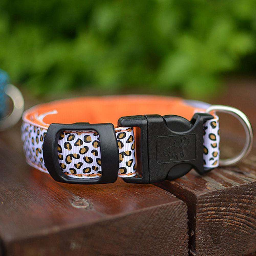 LED Dog Collar Giveaway