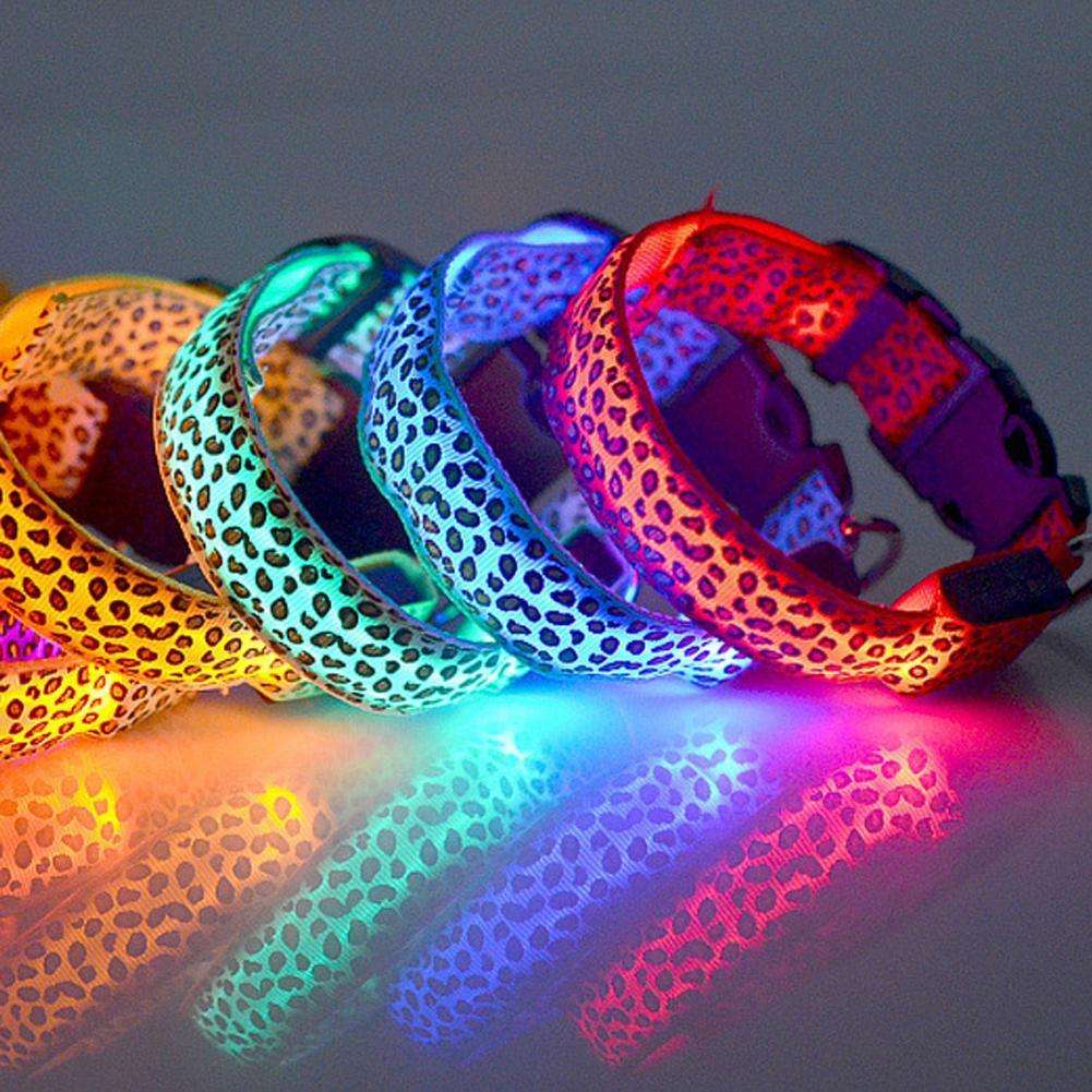 LED Dog Collar Giveaway