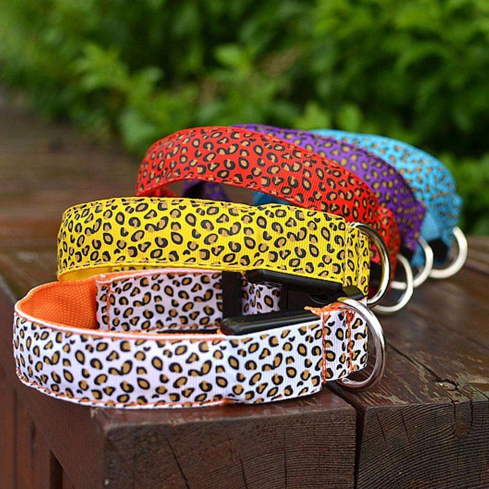 LED Dog Collar Giveaway
