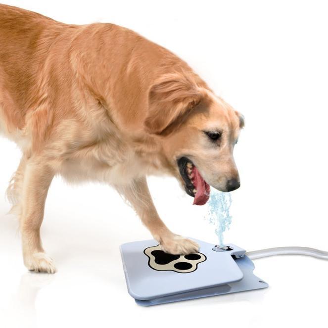 Outdoor Dog Water Fountain