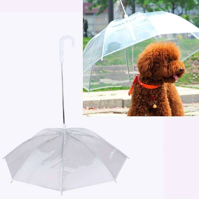 Doggy Umbrella
