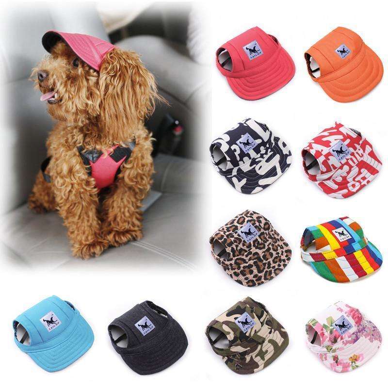 Summer Dog Sports Hat