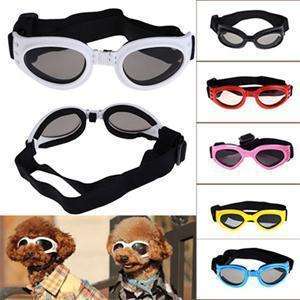 Doggy Sunglasses