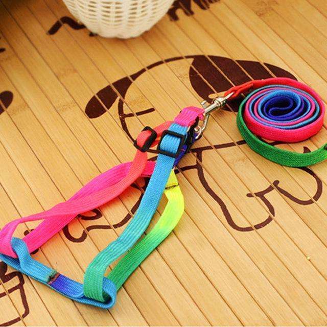 1 PCS Adjustable Rainbow Dog Leash